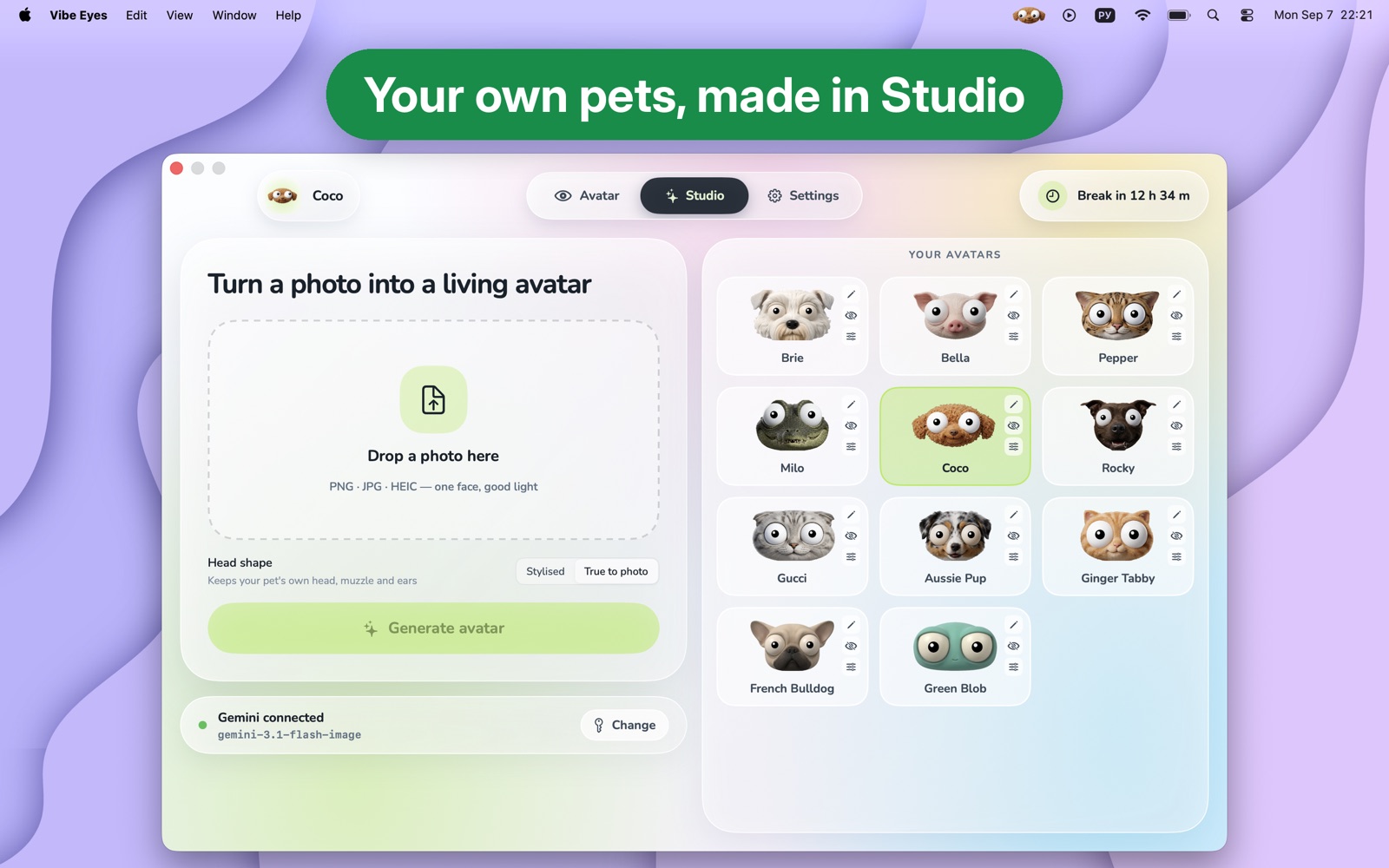 The Studio workspace: a drop zone for a photo on the left, the library of generated avatars on the right.